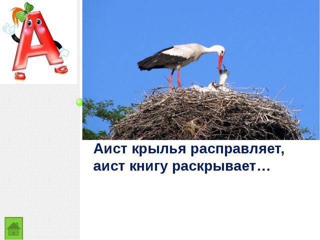 Закрепление изученных букв