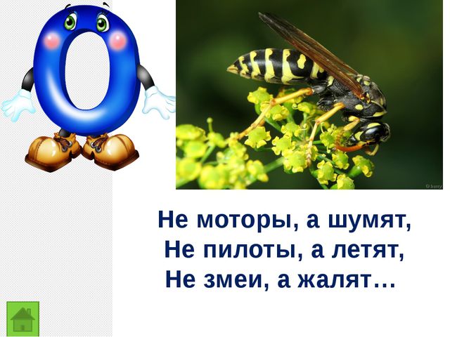 Закрепление изученных букв
