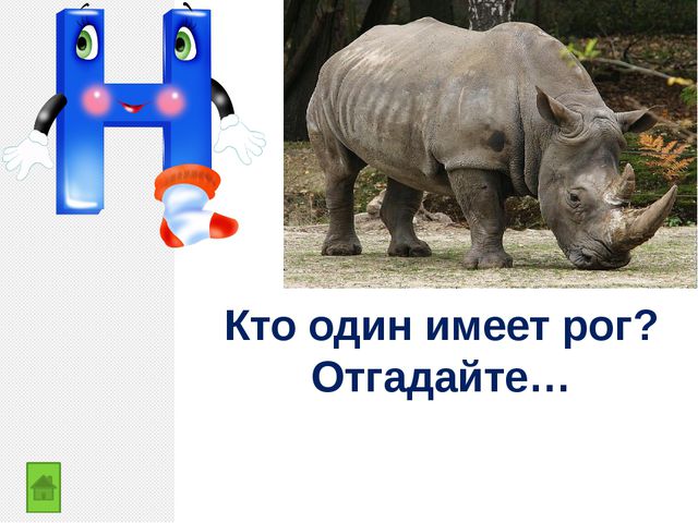 Закрепление изученных букв