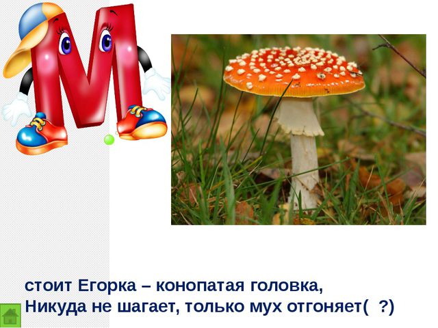 Закрепление изученных букв