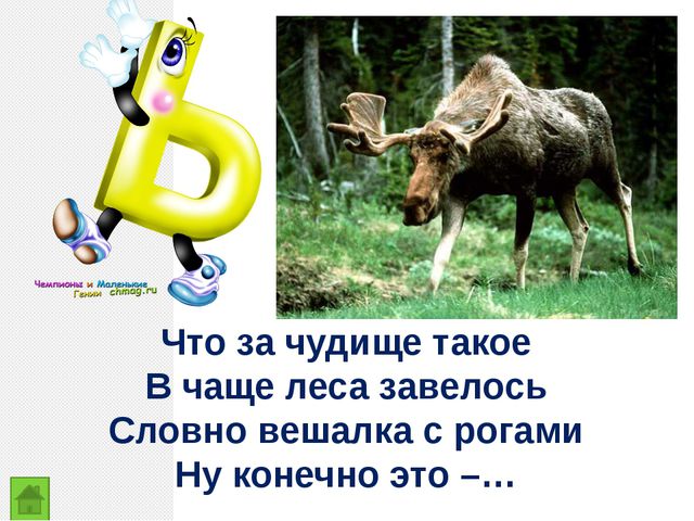 Закрепление изученных букв