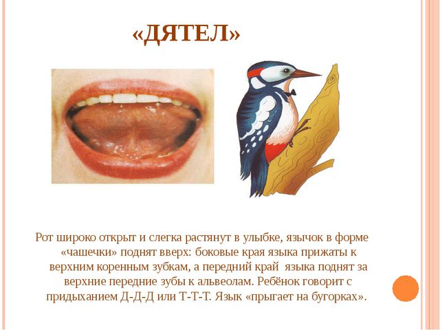 Артикуляционная гимнастика