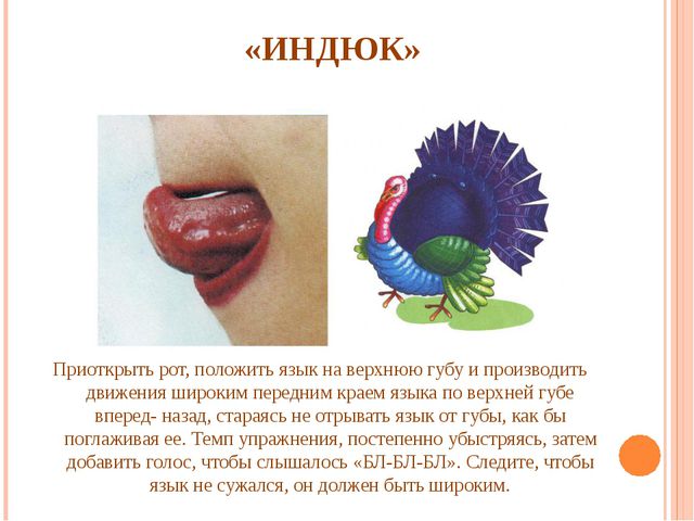 Артикуляционная гимнастика