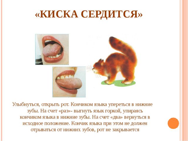 Артикуляционная гимнастика