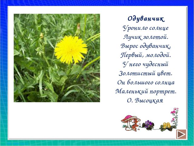 Рисуем цветы. Презентация для дошкольников