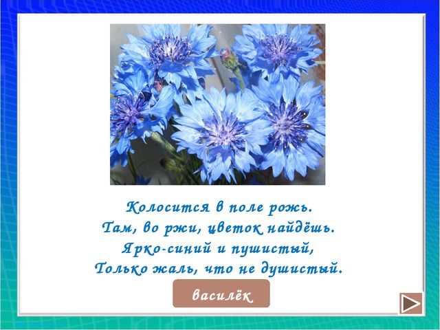 Рисуем цветы. Презентация для дошкольников