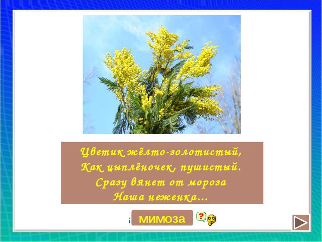 Рисуем цветы. Презентация для дошкольников
