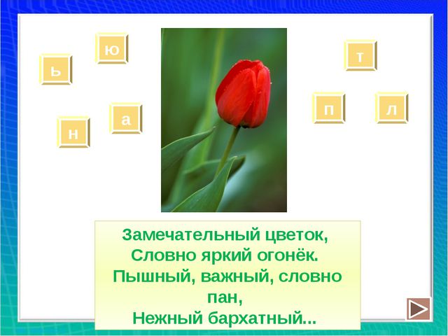 Рисуем цветы. Презентация для дошкольников