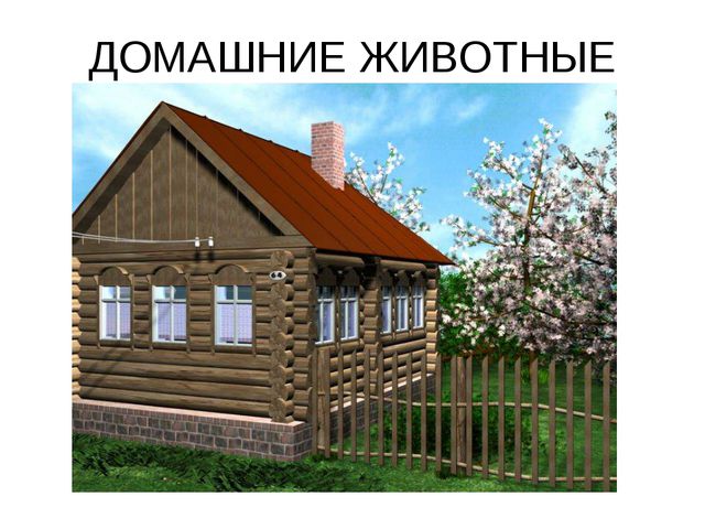 Домашние животные. Презентация по экологии