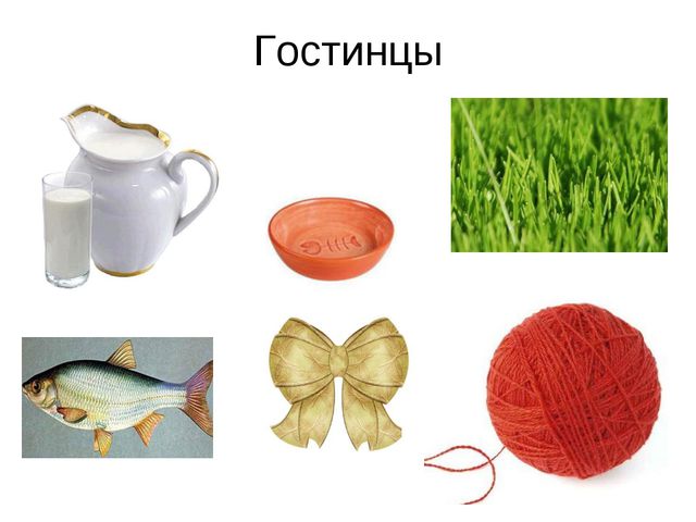 Домашние животные. Презентация по экологии