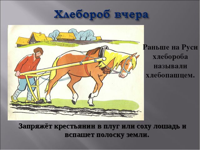 Откуда хлеб на стол пришёл. Презентация для НОД по познавательному развитию