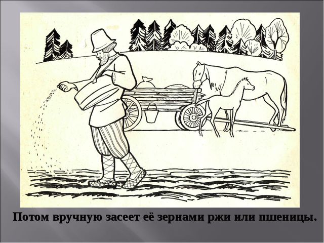 Откуда хлеб на стол пришёл. Презентация для НОД по познавательному развитию