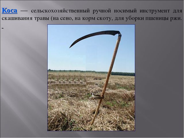 Откуда хлеб на стол пришёл. Презентация для НОД по познавательному развитию