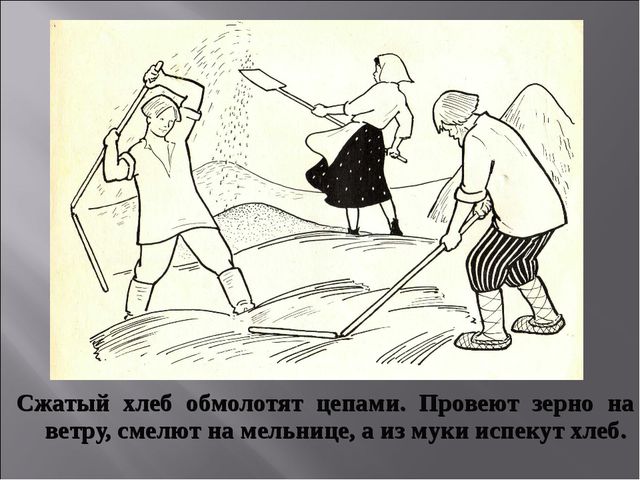 Откуда хлеб на стол пришёл. Презентация для НОД по познавательному развитию