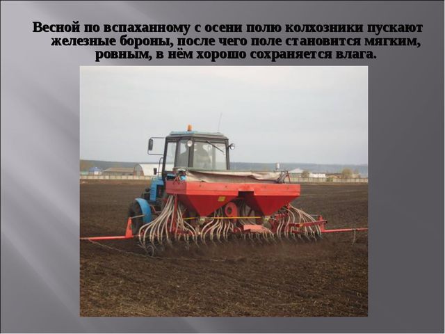 Откуда хлеб на стол пришёл. Презентация для НОД по познавательному развитию