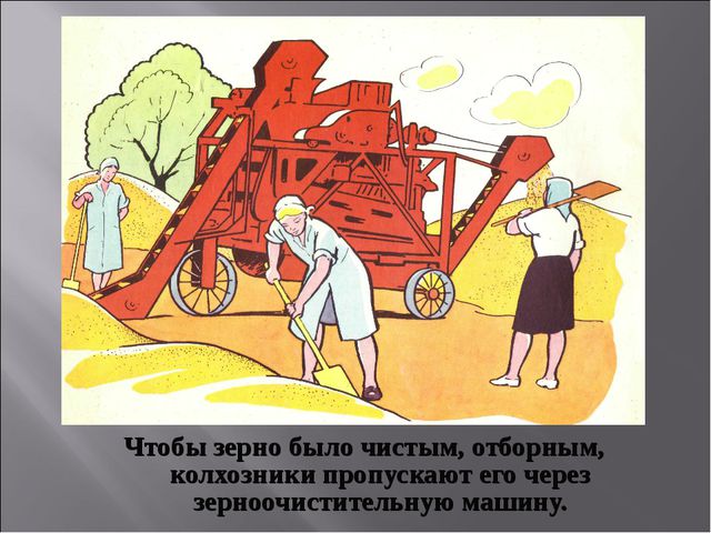 Откуда хлеб на стол пришёл. Презентация для НОД по познавательному развитию