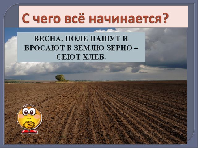 От куда хлеб пришёл. Презентация по развитию речи