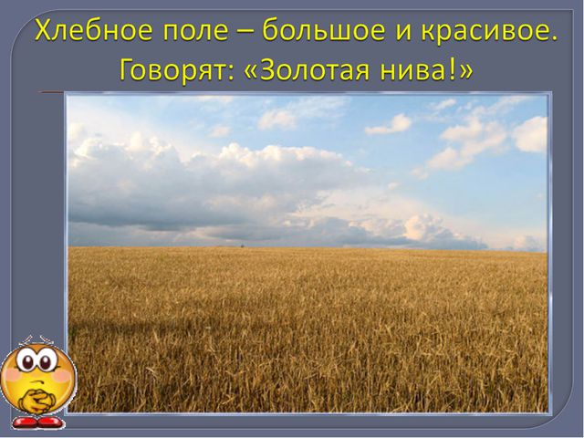 От куда хлеб пришёл. Презентация по развитию речи