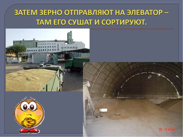 От куда хлеб пришёл. Презентация по развитию речи