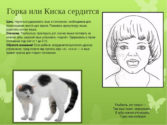 Артикуляционная гимнастика на свистящие звуки для детей дошкольного возраста
