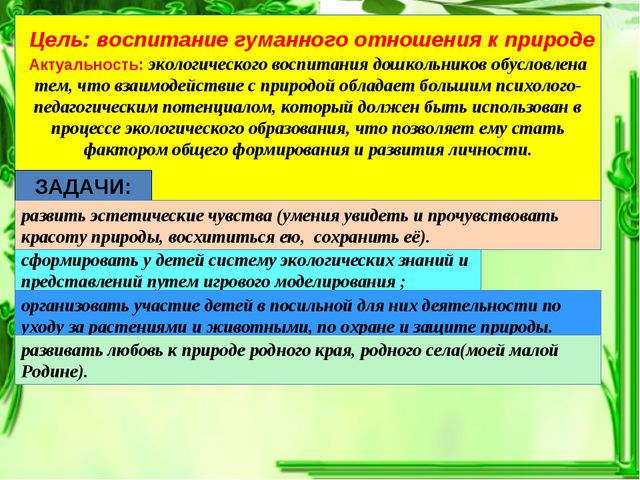 Формирование экологической культуры у дошкольников путём игрового моделирования