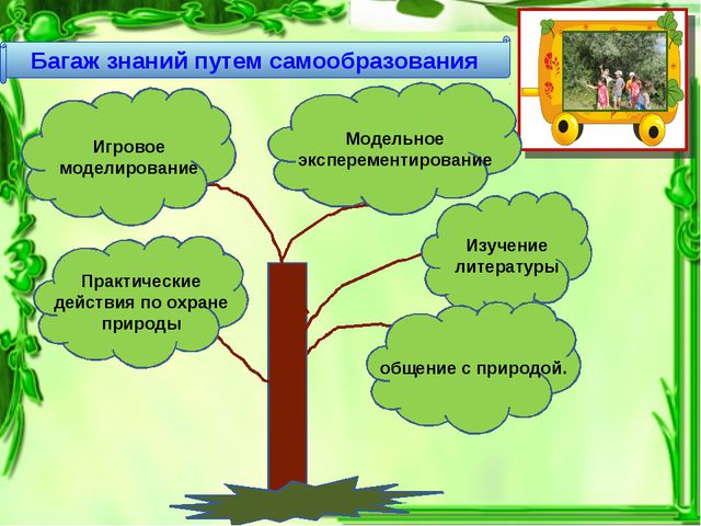 Формирование экологической культуры у дошкольников путём игрового моделирования