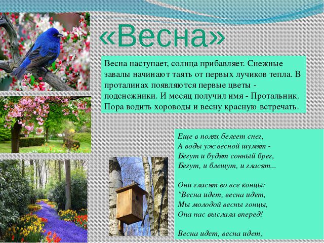 Времена года. Презентация для детей