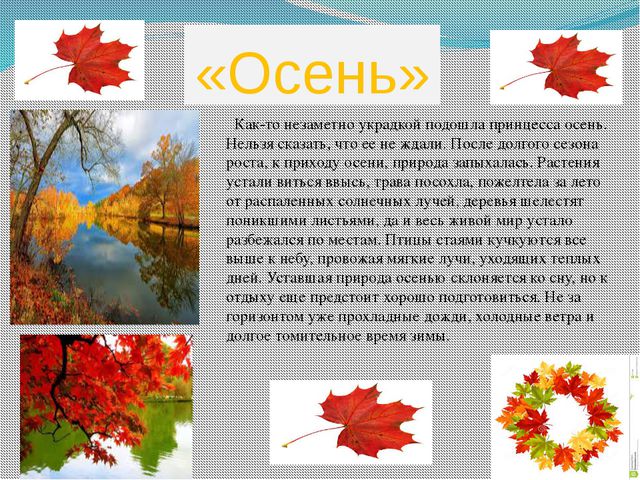 Презентация времена года по информатике 7 класс