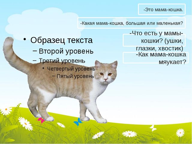 Занятие для детей первой младшей группы. Чьи детки?