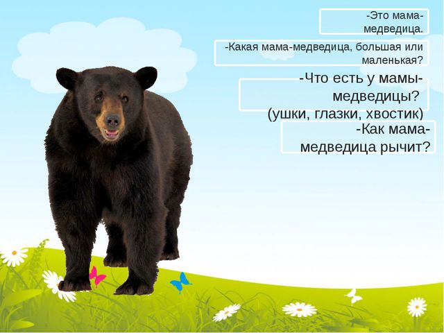 Занятие для детей первой младшей группы. Чьи детки?