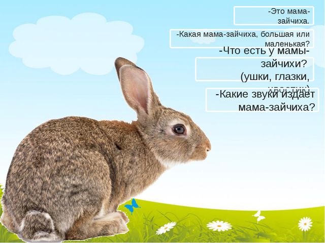 Занятие для детей первой младшей группы. Чьи детки?