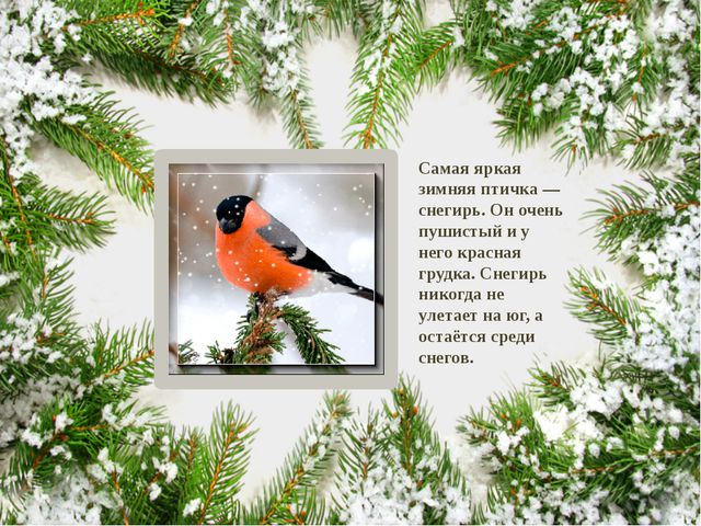 Времена года. Презентация к НОД