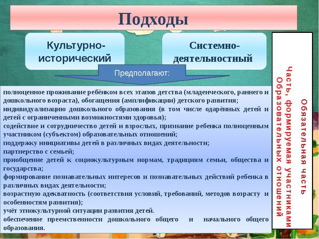Публичная презентация основной образовательной программы