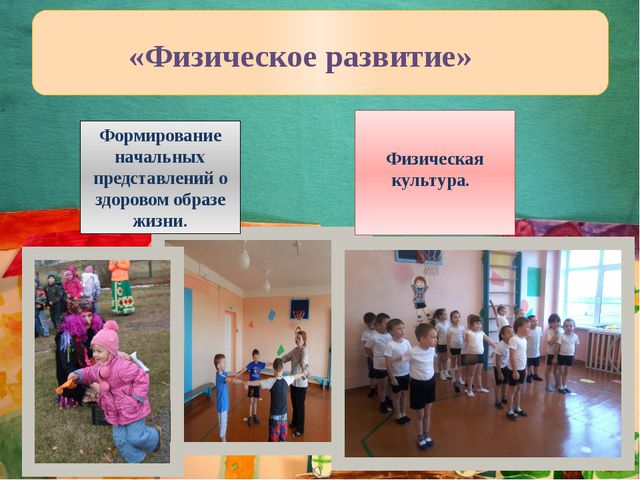Публичная презентация основной образовательной программы