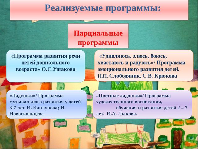 Публичная презентация основной образовательной программы