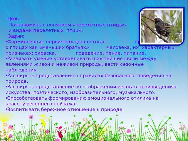 Перелётные птицы. Презентация