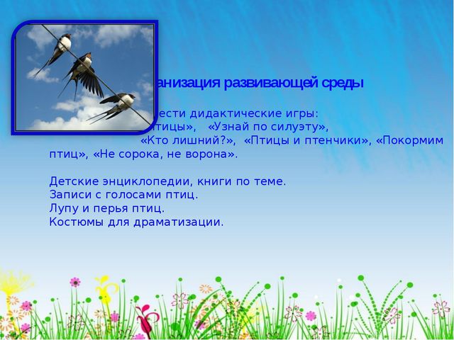Перелётные птицы. Презентация