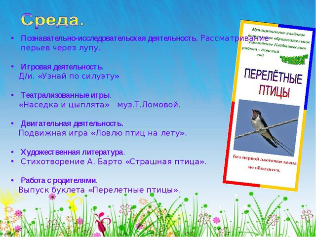 Перелётные птицы. Презентация