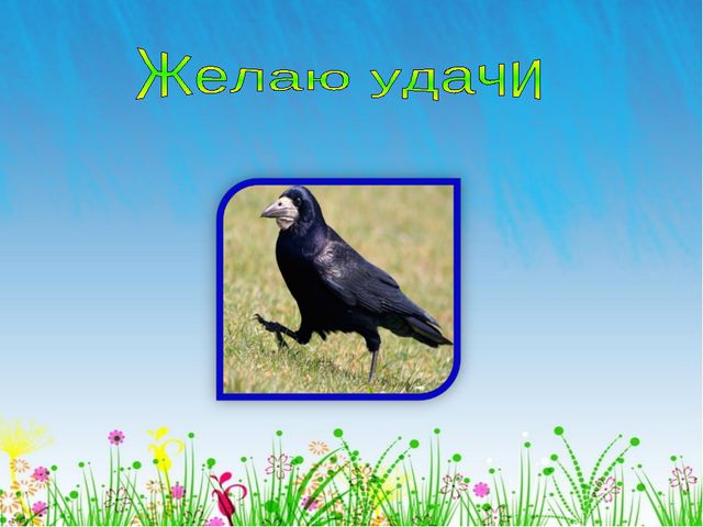 Перелётные птицы. Презентация