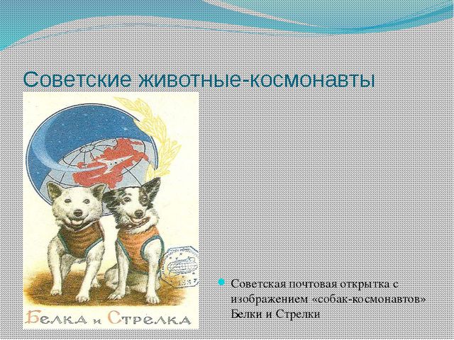 Презентация для дошкольников. Человек в космосе