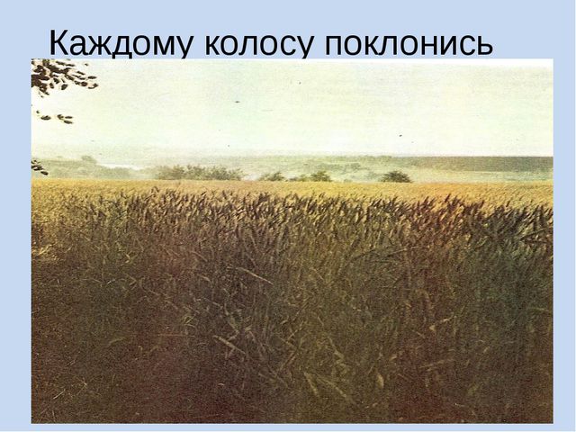 Презентация для дошкольников. Хлеб