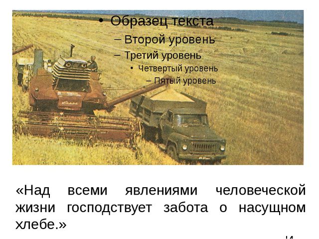 Презентация для дошкольников. Хлеб