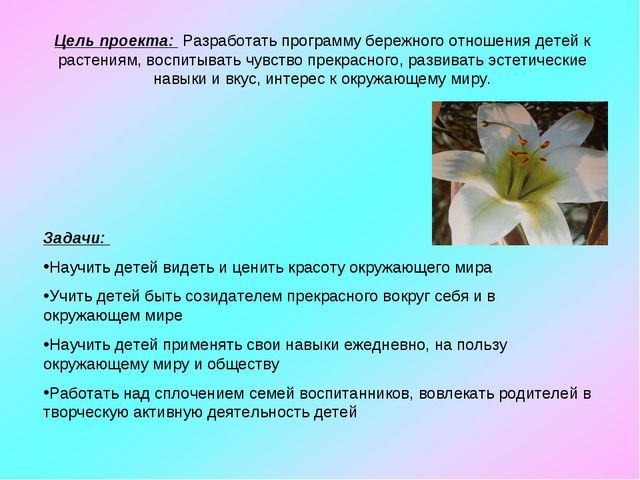Растения вокруг нас
