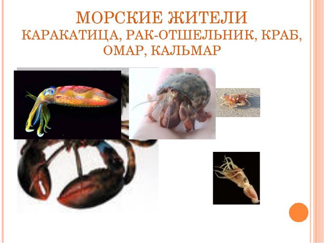 Автоматизация звука Р