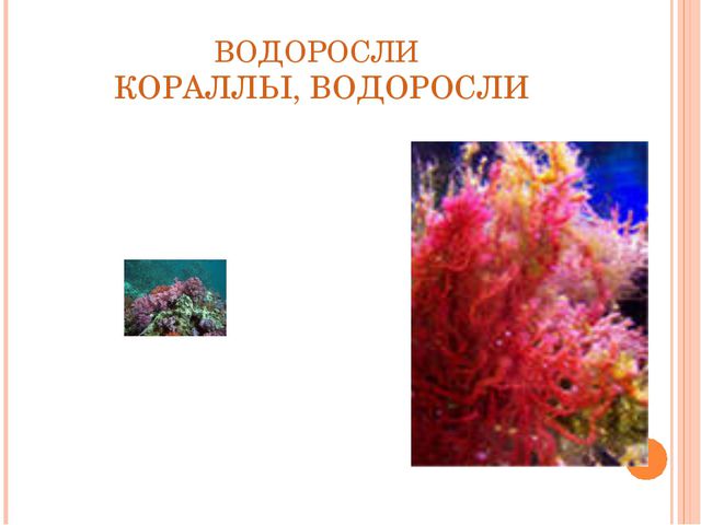Автоматизация звука Р