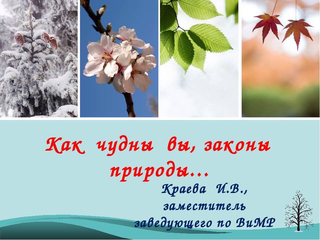 Времена года - законы природы. Презентация для детей подготовительной группы