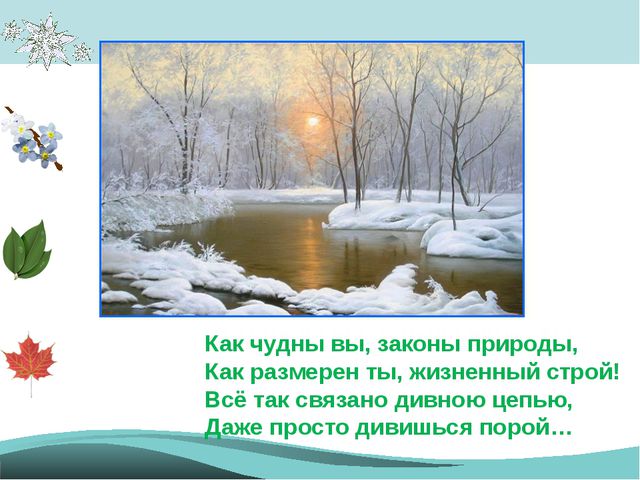 Времена года - законы природы. Презентация для детей подготовительной группы