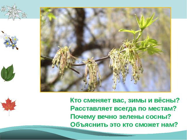 Времена года - законы природы. Презентация для детей подготовительной группы