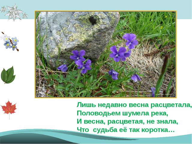 Времена года - законы природы. Презентация для детей подготовительной группы