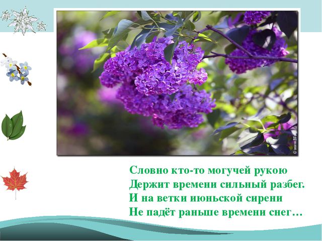 Времена года - законы природы. Презентация для детей подготовительной группы